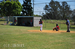 Baseball632-gallery1511_Dec4125659.jpg image